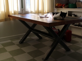 Cat approved!